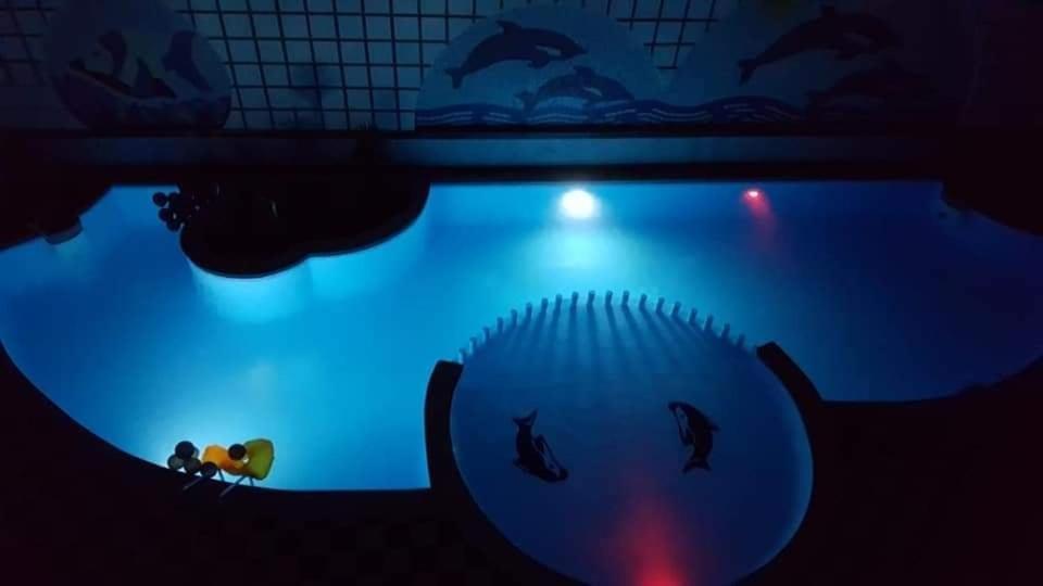 Apartman Eva フルガダ エクステリア 写真